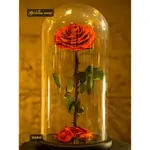 Forever Rose